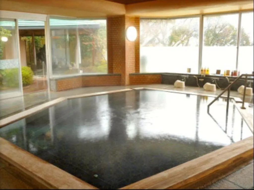 Yugawara Onsen Hotel Akane 3*,  Japan
